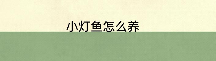 小灯鱼怎么养