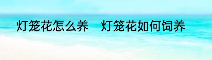 灯笼花怎么养　灯笼花如何饲养