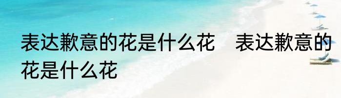 表达歉意的花是什么花　表达歉意的花是什么花
