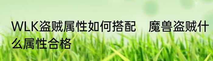 WLK盗贼属性如何搭配　魔兽盗贼什么属性合格