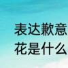 表达歉意的花是什么花　表达歉意的花是什么花