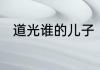道光谁的儿子　道光帝有几个儿子