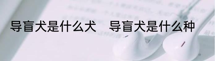 导盲犬是什么犬　导盲犬是什么种