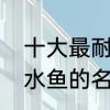 十大最耐寒小型淡水观赏鱼　热带淡水鱼的名字