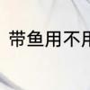 带鱼用不用刮鱼鳞　带鱼要刮鱼鳞吗