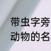 带虫字旁的动物有哪些　带虫字旁的动物的名称有哪些