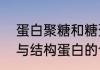 蛋白聚糖和糖蛋白的区别　分泌蛋白与结构蛋白的合成过程
