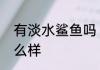 有淡水鲨鱼吗　淡水鲨鱼有哪些长什么样