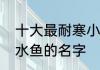 十大最耐寒小型淡水观赏鱼　热带淡水鱼的名字