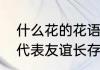 什么花的花语代表的是友情　什么花代表友谊长存