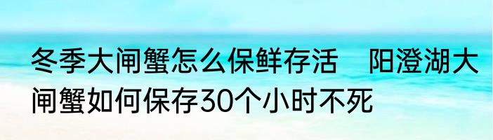 冬季大闸蟹怎么保鲜存活　阳澄湖大闸蟹如何保存30个小时不死