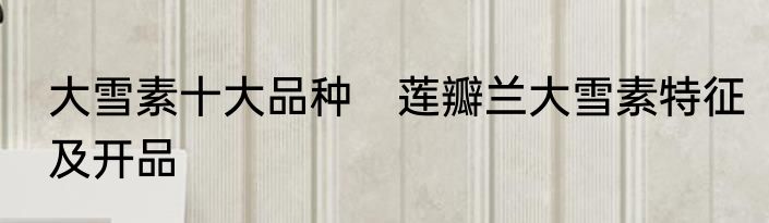 大雪素十大品种　莲瓣兰大雪素特征及开品