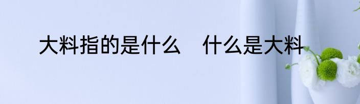 大料指的是什么　什么是大料
