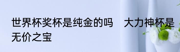 世界杯奖杯是纯金的吗　大力神杯是无价之宝