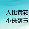 人比黄花瘦中的黄花指的是菊花大珠小珠落玉盘形容的是古琴的