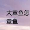 大章鱼怎么处理　小章鱼是什么歌大章鱼