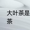 大叶茶是哪里产的　大叶茶属于什么茶
