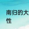 南归的大雁故事　大雁南归是什么词性