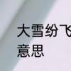 大雪纷飞的意思　6月大雪纷飞什么意思