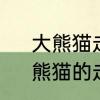 大熊猫走路姿势怎么样?它好动吗?　熊猫的走路姿势怎么学