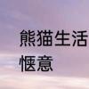 熊猫生活习惯资料　熊猫的生活有多惬意