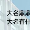 大名鼎鼎什么意思　大名鼎鼎和鼎鼎大名有什么区别