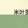 米叶罗汉松叶子大了怎么办