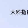 大料指的是什么　什么是大料