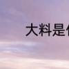大料是什么　大料是什么调料
