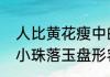人比黄花瘦中的黄花指的是菊花大珠小珠落玉盘形容的是古琴的