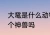 大鼋是什么动物　大鼋和赑屃是同一个神兽吗