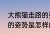 大熊猫走路的姿态描写　大熊猫走路的姿势是怎样的