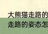 大熊猫走路的姿势是怎样的　大熊猫走路的姿态怎么写