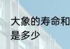 大象的寿命和体型　大象的寿命一般是多少