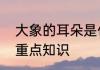 大象的耳朵是什么意思　大象的耳朵重点知识