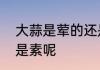 大蒜是荤的还是素的　大蒜是荤，还是素呢