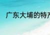 广东大埔的特产　大埔特产是什么