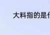 大料指的是什么　什么是大料