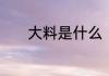 大料是什么　大料是什么调料