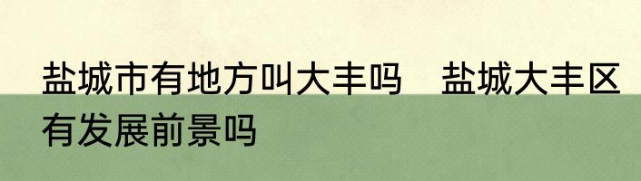 盐城市有地方叫大丰吗　盐城大丰区有发展前景吗