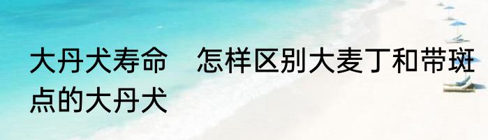 大丹犬寿命　怎样区别大麦丁和带斑点的大丹犬