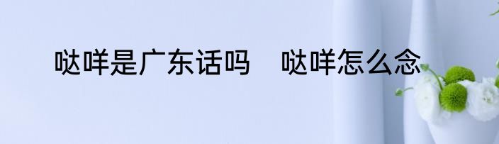 哒咩是广东话吗　哒咩怎么念