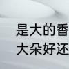 是大的香菇好还是小的香菇好　香菇大朵好还是小朵好