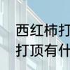 西红柿打尖是什么意思　养花掐尖和打顶有什么区别