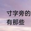 寸字旁的字有那些　带有寸字旁的字有那些