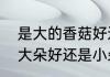 是大的香菇好还是小的香菇好　香菇大朵好还是小朵好