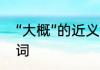“大概”的近义词是什么　大概的近义词
