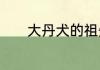 大丹犬的祖先　大丹犬好养吗