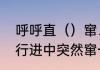 呼呼直（）窜、蹿，选哪一个　汽车行进中突然窜一下是什么原因