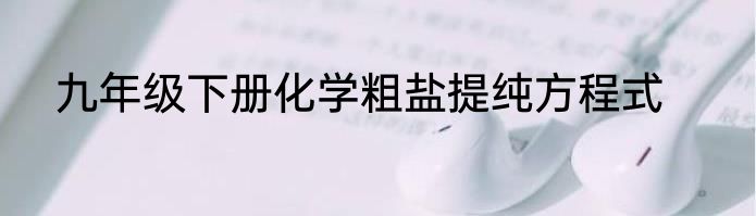 九年级下册化学粗盐提纯方程式